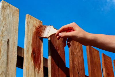 Fence Painting