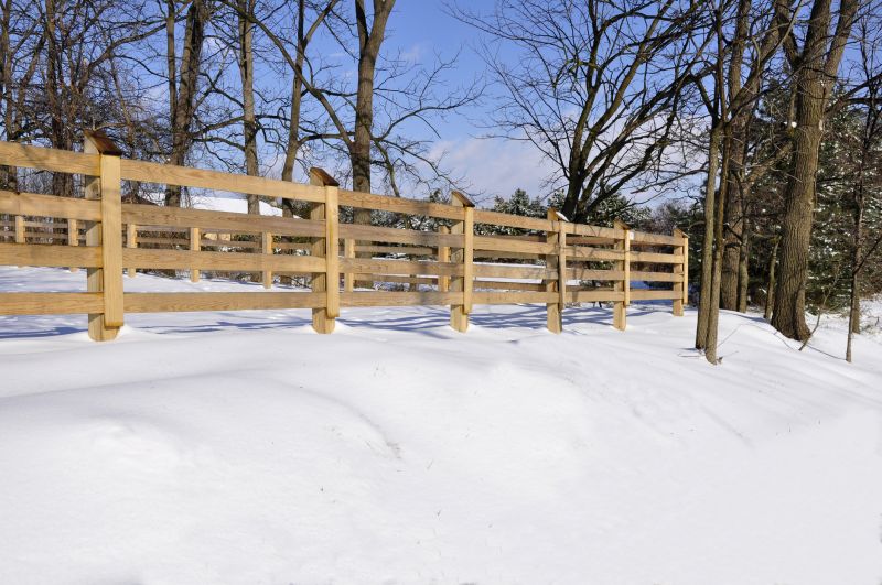 Fence Painting in Winter