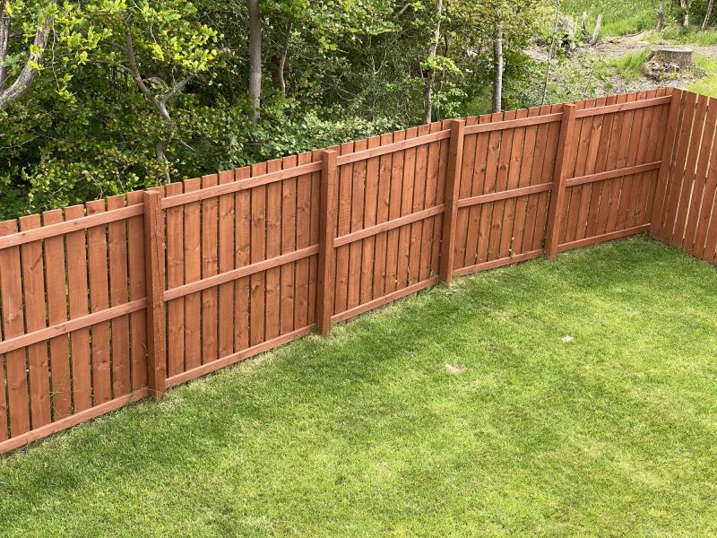 Summer Fence Painting